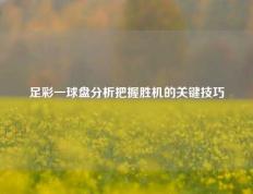 足彩一球盘分析把握胜机的关键技巧