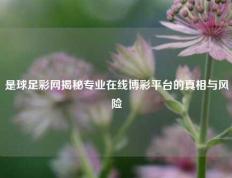 是球足彩网揭秘专业在线博彩平台的真相与风险