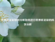 世界杯足彩如何分析如何进行世界杯足彩的科学分析
