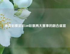 体育彩票足彩500彩票两大赛事的融合盛宴