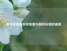 竟足彩直播实时竞猜与即时反馈的盛宴