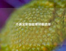 小赢足彩智能理财新选择
