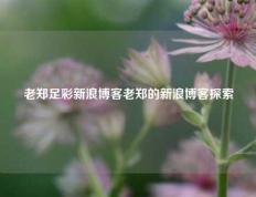 老郑足彩新浪博客老郑的新浪博客探索