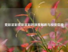 竞彩足彩竞彩足彩的深度解析与投资指南