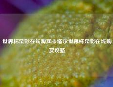 世界杯足彩在线购买卡塔尔世界杯足彩在线购买攻略
