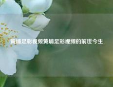 黄埔足彩视频黄埔足彩视频的前世今生