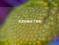 买足彩输钱了想死