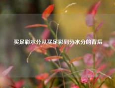 买足彩水分从买足彩到分水分的背后