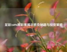 足彩16096期彩果揭示胜负秘籍与投资策略
