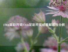 17036足彩开奖17036足彩开奖结果解读与分析
