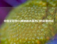 中国足彩网310揭秘国内最热门的彩票网站