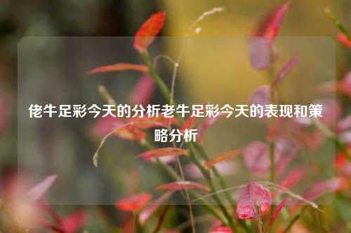 佬牛足彩今天的分析老牛足彩今天的表现和策略分析
