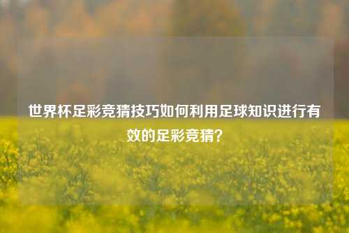 世界杯足彩竞猜技巧如何利用足球知识进行有效的足彩竞猜？