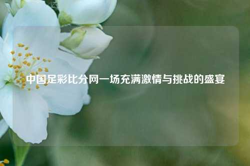 中国足彩比分网一场充满激情与挑战的盛宴