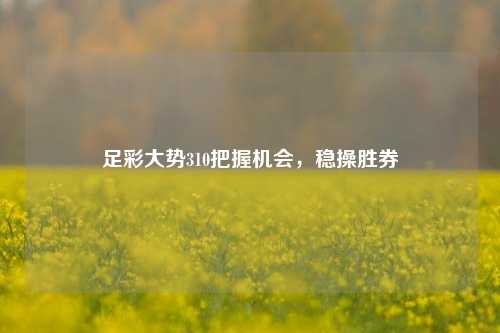 足彩大势310把握机会，稳操胜券