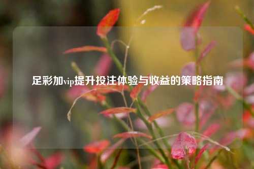 足彩加vip提升投注体验与收益的策略指南