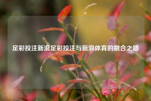足彩投注新浪足彩投注与新浪体育的融合之路