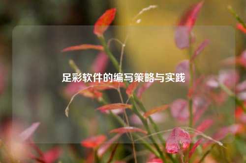 足彩软件的编写策略与实践