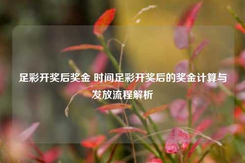 足彩开奖后奖金 时间足彩开奖后的奖金计算与发放流程解析