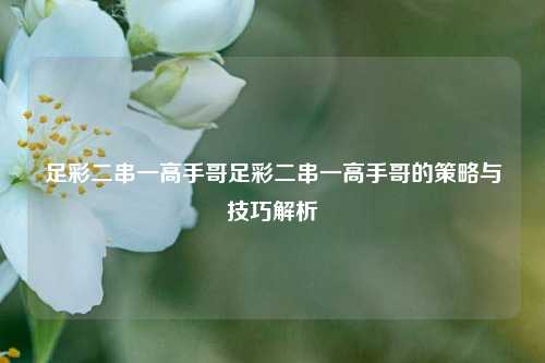 足彩二串一高手哥足彩二串一高手哥的策略与技巧解析