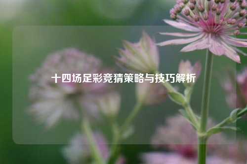 十四场足彩竞猜策略与技巧解析