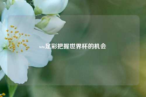 ww足彩把握世界杯的机会