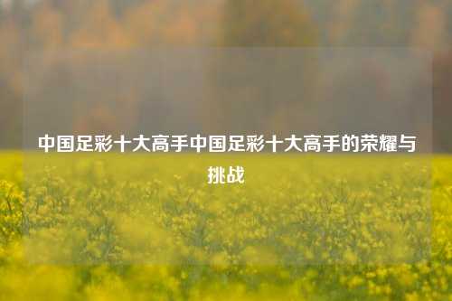 中国足彩十大高手中国足彩十大高手的荣耀与挑战