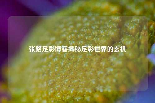 张路足彩博客揭秘足彩世界的玄机