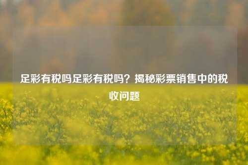 足彩有税吗足彩有税吗？揭秘彩票销售中的税收问题