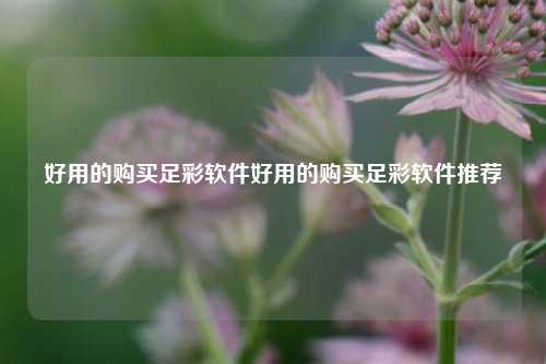 好用的购买足彩软件好用的购买足彩软件推荐