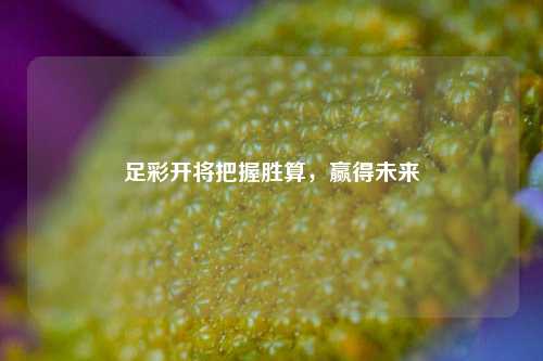 足彩开将把握胜算，赢得未来