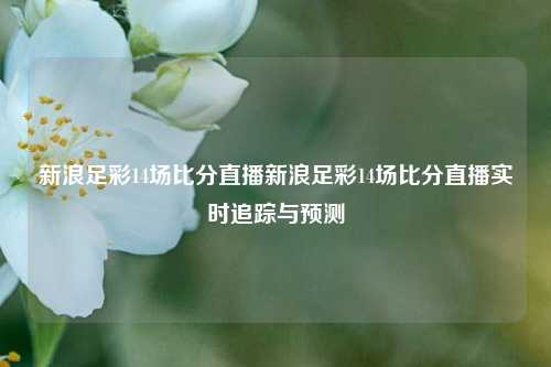新浪足彩14场比分直播新浪足彩14场比分直播实时追踪与预测