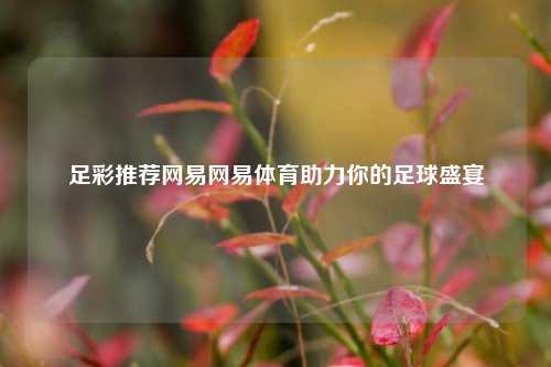 足彩推荐网易网易体育助力你的足球盛宴