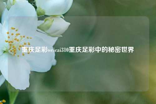 重庆足彩weicai310重庆足彩中的秘密世界