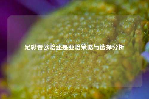 足彩看欧赔还是亚赔策略与选择分析