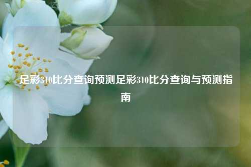 足彩310比分查询预测足彩310比分查询与预测指南