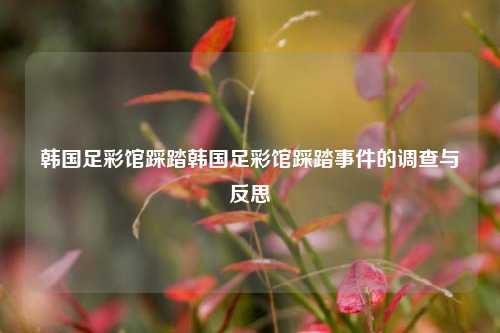 韩国足彩馆踩踏韩国足彩馆踩踏事件的调查与反思
