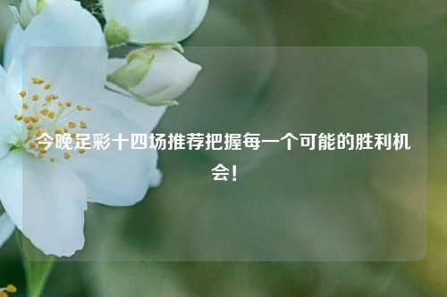 今晚足彩十四场推荐把握每一个可能的胜利机会！