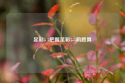 足彩5 5把握足彩5-5的胜算