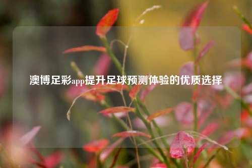 澳博足彩app提升足球预测体验的优质选择
