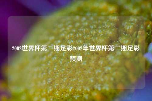 2002世界杯第二期足彩2002年世界杯第二期足彩预测