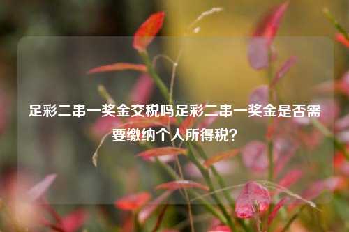 足彩二串一奖金交税吗足彩二串一奖金是否需要缴纳个人所得税？