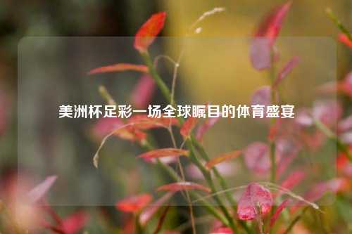 美洲杯足彩一场全球瞩目的体育盛宴