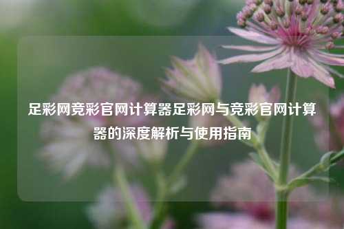 足彩网竞彩官网计算器足彩网与竞彩官网计算器的深度解析与使用指南