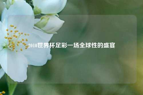 2010世界杯足彩一场全球性的盛宴