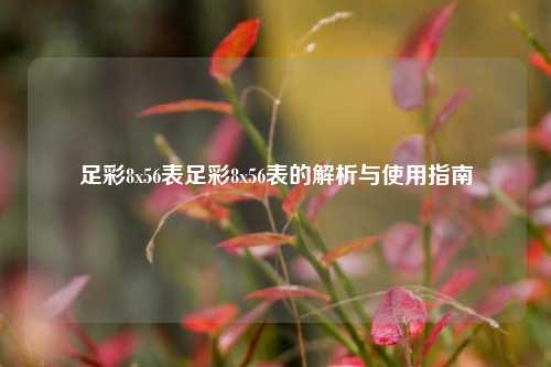 足彩8x56表足彩8x56表的解析与使用指南