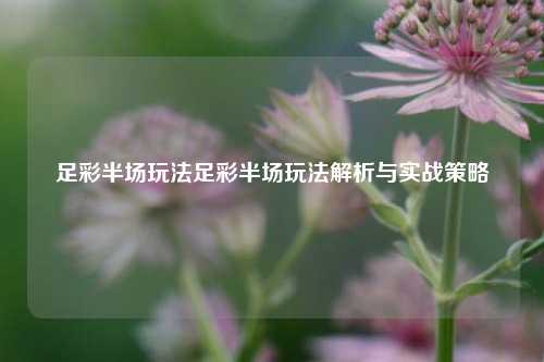 足彩半场玩法足彩半场玩法解析与实战策略