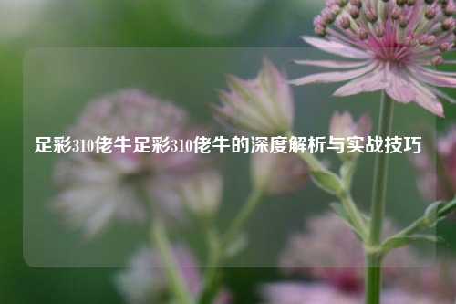 足彩310佬牛足彩310佬牛的深度解析与实战技巧