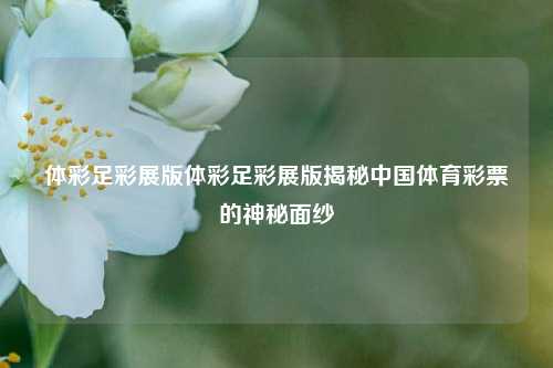 体彩足彩展版体彩足彩展版揭秘中国体育彩票的神秘面纱