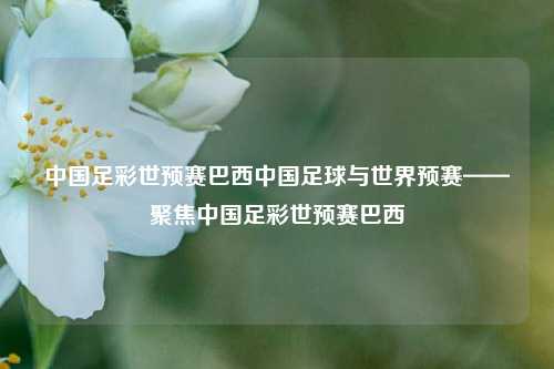 中国足彩世预赛巴西中国足球与世界预赛——聚焦中国足彩世预赛巴西